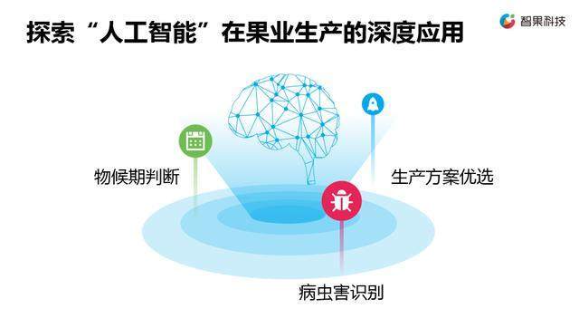 鄉村振興，科技賦能 新一代農業信息技術企業的軟件戰略